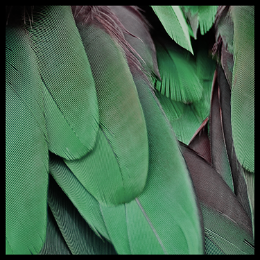 %100 Saf İpek Saten Eşarp